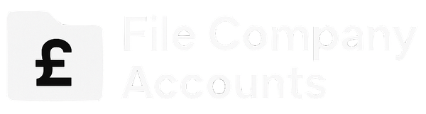 File Company Accounts Logo